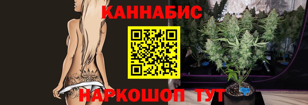 Канабис White Widow  Бошки Шишки сатива  Вход с VPN  Бошки марихуана план  Волхов  Конопля LSD WEED 